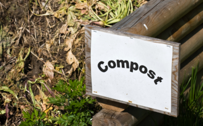Comment faire du compost en copropriété ?